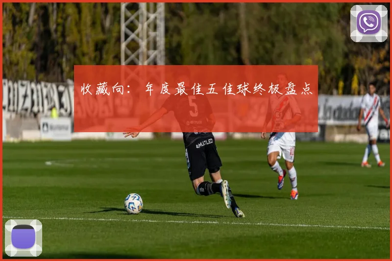 收藏向:年度最佳五佳球终极盘点