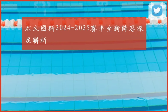 尤文图斯2024-2025赛季全新阵容深度解析