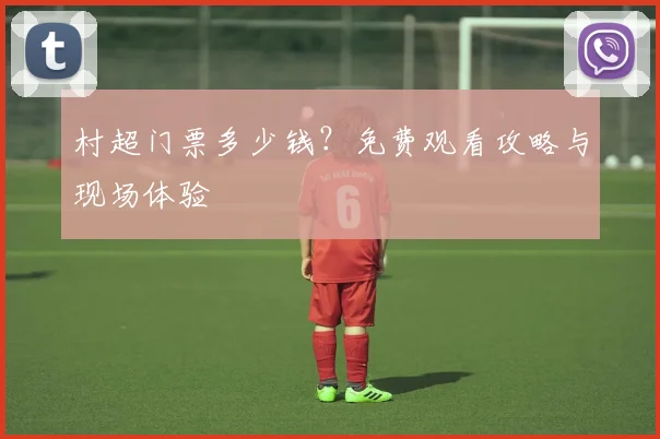 村超门票多少钱?免费观看攻略与现场体验