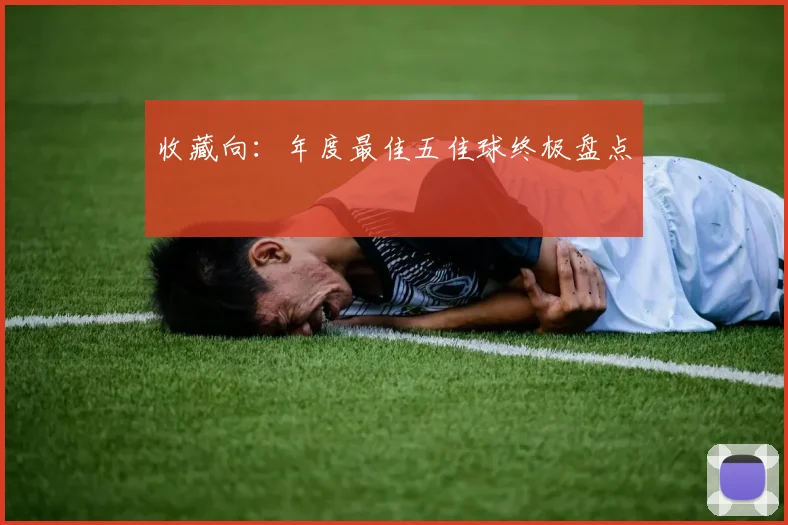 收藏向:年度最佳五佳球终极盘点