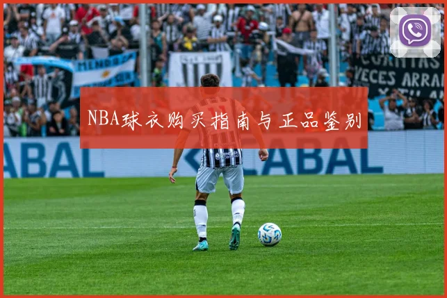 NBA球衣购买指南与正品鉴别